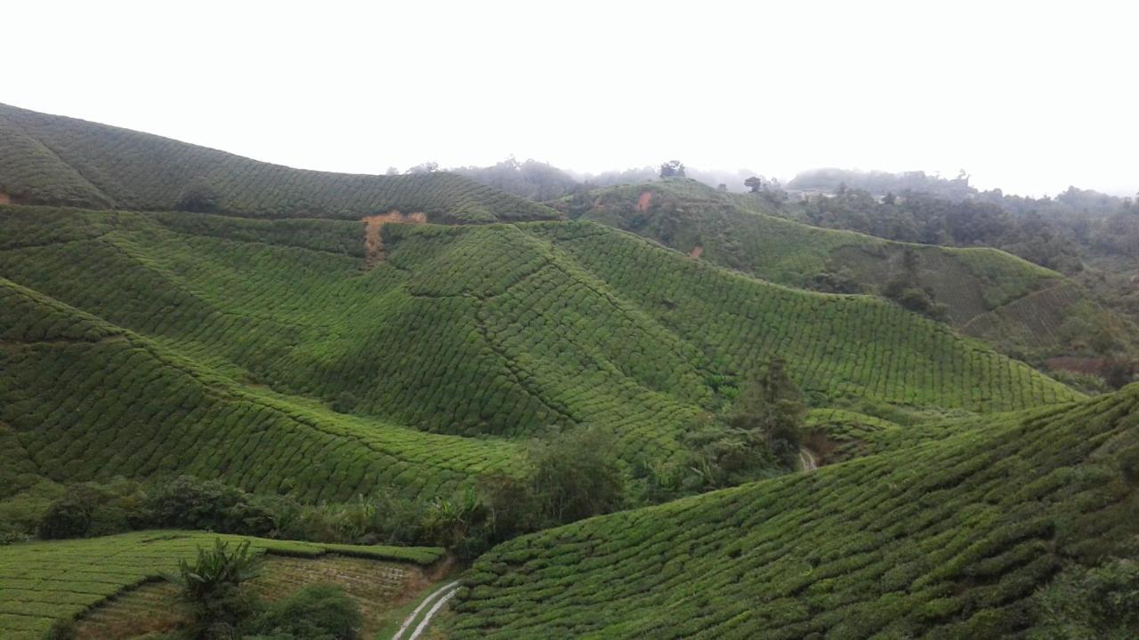 Cameron Golden Hills Resort Tanah Rata Exterior photo